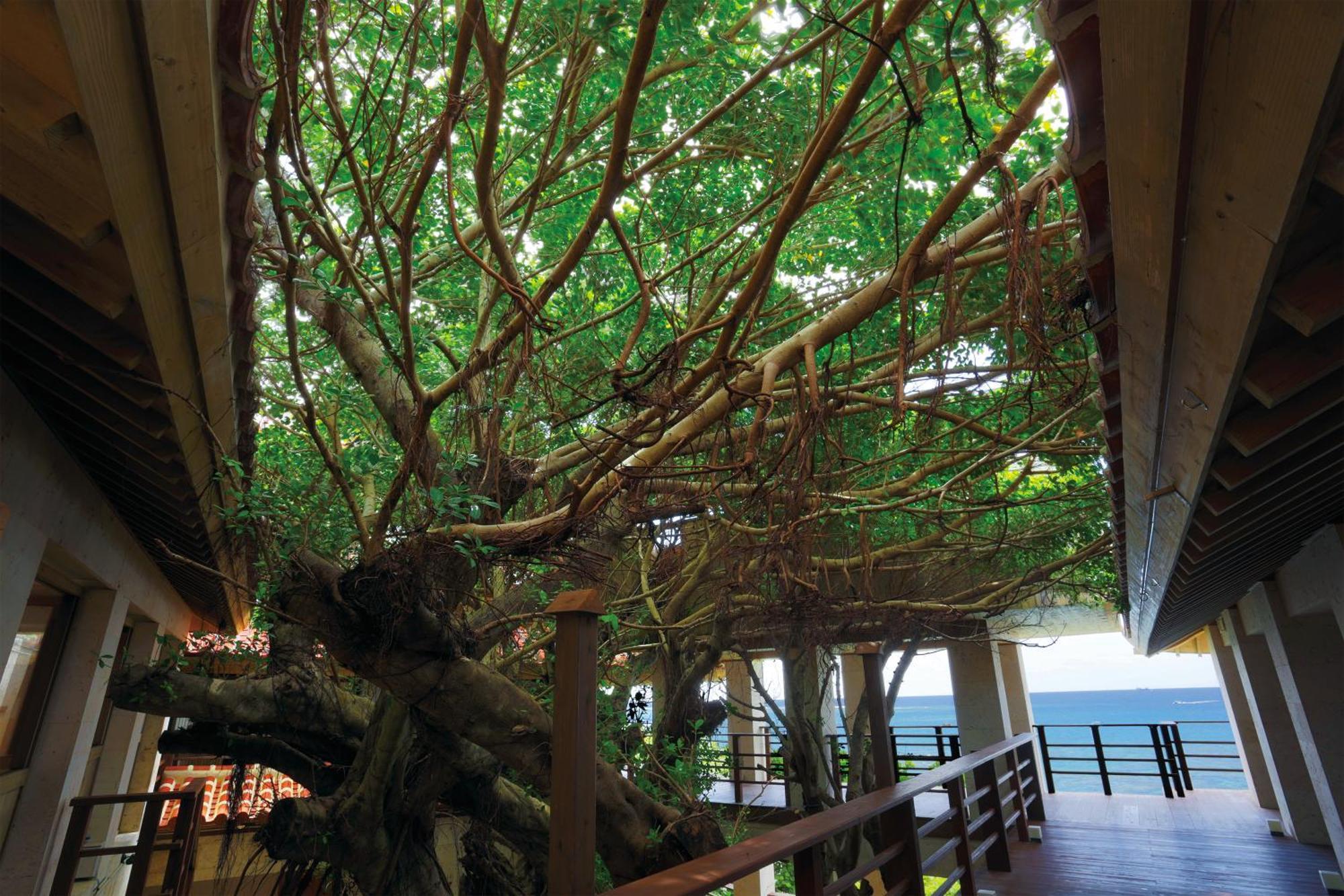 Hyakunagaran Nanjo Exterior photo